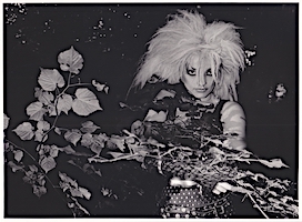 zum Vergr��ern + Info