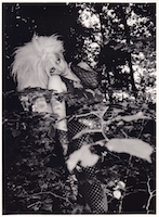 zum Vergr��ern + Info